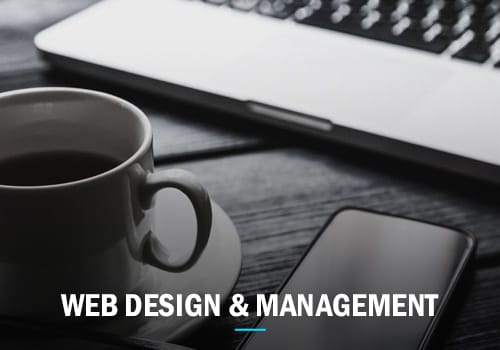 web design south florida